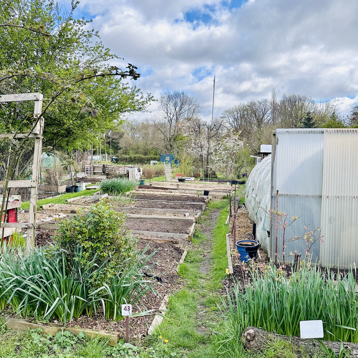 Allotment visit 04/24