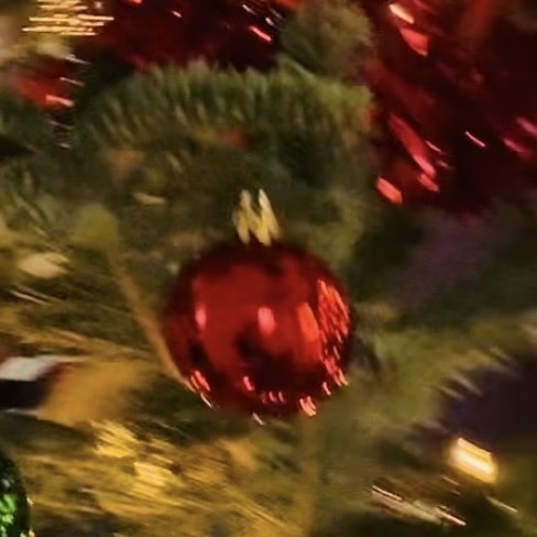 Christmas tree festival 23.2