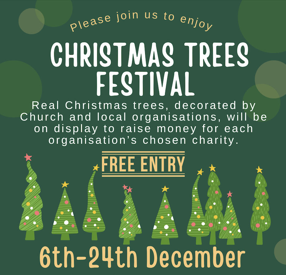 Christmas Trees Festival 25