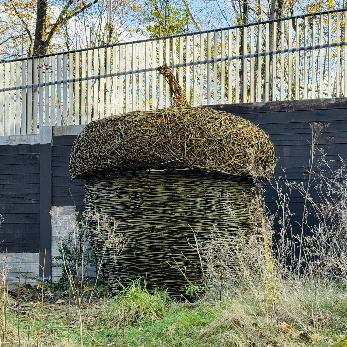 Giant Acorn Along Beeline Way